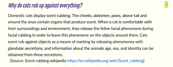 Close-up of Cat FAQs section opened