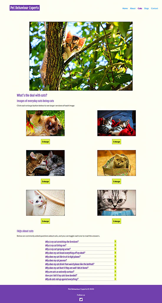 Screenshot of Cats page from Pet Behaviour Experts project