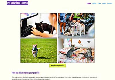 image of home page for Pet Beheviour Experts project