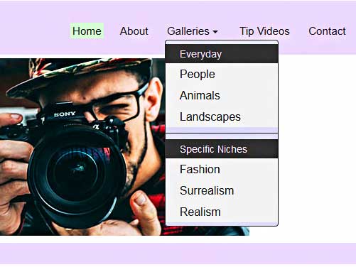 screenshot of dropdown menu with styling